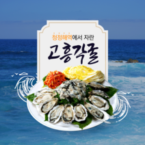 고흥석화 고흥각굴 생굴 석화 고흥석화굴 3kg 5kg 10kg, 1개