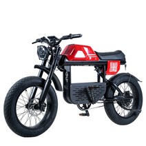 전기자전거 접이식 20 인치 넓은 타이어 산악 자전거 변속 레트로 크로스 컨트리 해변 오토바이 파워 전, 05 Red, 01 48v20ah