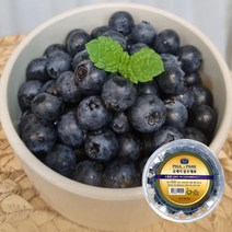 국산 유레카 블루베리 생블루베리, 100g * 2팩, 상세페이지 참조2