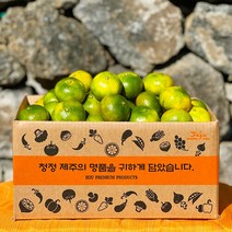 제주 감귤 햇 노지 타이벡 감귤 극조생 조생 서귀포 효돈감귤, 타이벡감귤, 29.조생 로얄과(S~M) 9kg