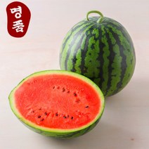[당도보장]프리미엄 고당도 제철 꿀 수박, 꿀수박 7~8kg내외(선물용), 1개