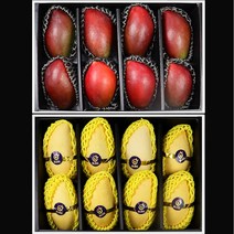 애플망고 골드망고 망고선물세트 2kg 3kg 4kg, 애플망고 6과 특과 선물세트