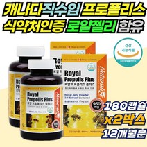 환절기 유아 프로폴리스 로얄 젤리 제리 농축분말 키즈 폴리폴리스 면역력에좋은영양제 홈쇼핑 구강항균 항산화 영양제 플라보노이드 활성산소 억제 면역력 높이는 보조제 효과 효능