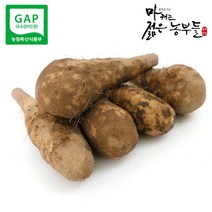 [영파머스몰]마캐는 젊은농부들 마 산마 안동마 참마 생마 장마, [산마꼬마5] 산마 꼬마 5kg