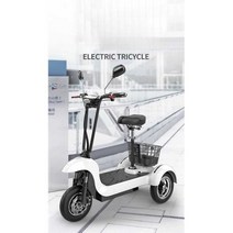 전기 세발자전거 출퇴근 시골 소형 배달 노인 어린이, 36V 단일 드라이브 전동 저장