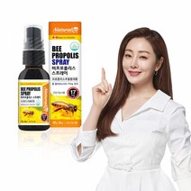 네추럴라이즈 비프로폴리스 스프레이, 단품, 단품