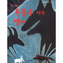 폭풍우 치는 밤에 : 가부와 메이 이야기 하나, 아이세움