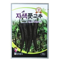 모칸도 세계 자색풋고추 10립