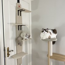 PETCA 대형 고양이 문걸이 원목 스크래쳐 캣타워 고양이장난감, 1개