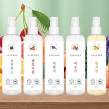 섬유향수 시크라이프 섬유탈취제 천연탈취제 250ml (10종)_[230206EA], 피톤치드, 본상품선택