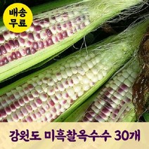 (인빌푸드)(예약)고소한 영월 미흑찰옥수수 30개, 단품