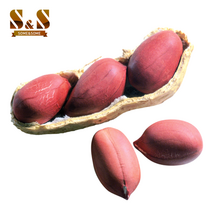 햇 국산 고창 볶음땅콩 500g, 1개