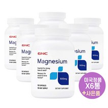 GNC 마그네슘 500mg 120정 영양제 X6통 지엔씨 Magnesium 미국직구 사은품 증정