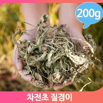 건강 효능 차전초 200g 질경이차 건조 말린차 영양