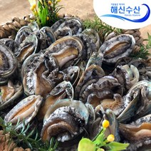 해신수산 라면전복 40~70미 1kg, 없음