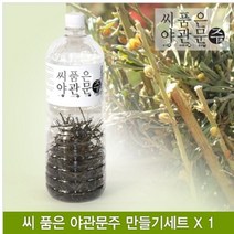 {choi-숍}야관문주 중 제일효과좋은 씨품은 야관문주 세트-reboot, 초이샵 1