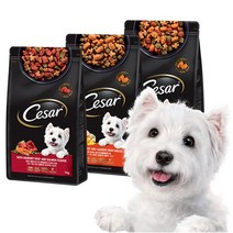 시저 건사료 1kg (연어맛이 견들인 쇠고기 토마토 곁들인 양고기 야채가 곁들인 칠면조), 가든 야채가 곁들인 칠면조 1kg