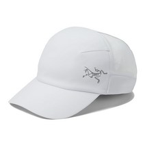 아크테릭스 칼부스 캡