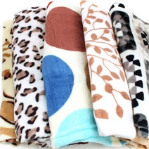 KC 인증 소프트 극세사 무릎담요 블랑캣 수능담요