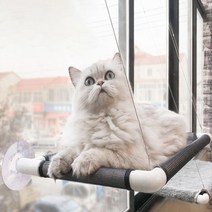 일월전빵 고양이 메쉬해먹 윈도우 창문 캣타워