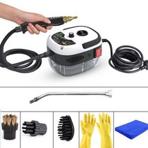 2500W 스팀 청소기 자동차 에어컨 주방 후드 스팀 청소 기계 900ML 물 탱크 가전, white, AU_220V