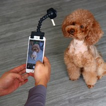 견생샷 강아지 고양이 애견 반려견 간식집게 셀카봉, 화이트