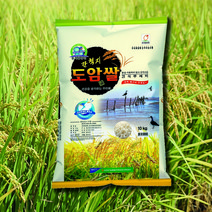 22년 전남 강진 진미 당일도정 간척지 도암쌀 10kg, 단품