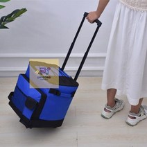 바퀴달린_접이식_아이스박스_캐리어_BEST_쿨러백_네모캠핑 ED1E, 옵션_ 네모캠핑 캐리어 쿨러백 블루, 이상품으로함