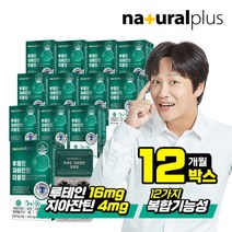 [내츄럴플러스] [롯데 단독] 차태현 루테인 지아잔틴 더블업 16대4 비율 12박스(12개, 상세 설명 참조, 상세 설명 참조