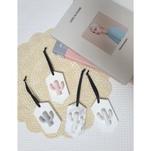 향기퐁당 선인장 타블렛 석고방향제, 그레이핑크, 베이비파우더