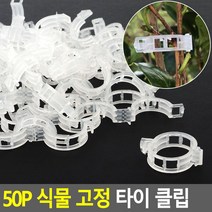 50P 식물 고정 타이 클립 생활 건강 용품 원예 정원 부자재, 누리마켓 본상품선택