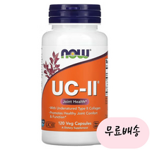 [나우푸드]-M2-UC2 비변성 2형 콜라겐 120개입, 1개, 120개