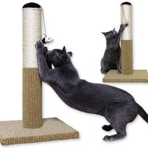 호기심 긁기좋은 고양이 기둥 스크래쳐 애묘 집사용품