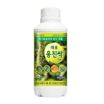 대유 응진싹 500ml, 1개