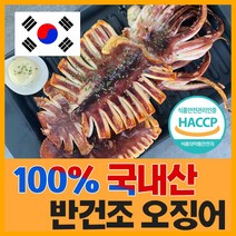 [득템몰] 구룡포 피데기 반건조오징어 파지국산 5 10 손질오징어 캠핑요리 술안주 마른오징어 쫄쫄이오징어 동해오징어, 반건조오징어(치미)10미 500g