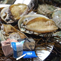 완도 전복 선물세트 1kg 2kg 활전복 직거래 대 특대 왕특대 선물용 보자기 포장 추석 선물 세트, 1_4. 실속 4호