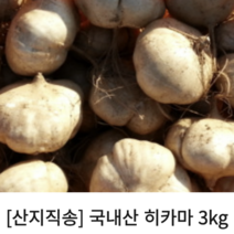 [산지직송] 국내산 히카마 얌빈 멕시코감자 작은거 히까마 3kg 5kg 10kg 싱싱 신선 아삭아삭 멕시코감자히카마 멕시코 감자, 1개