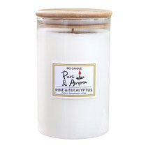 캔들백화점 특대왕 캔들 1000ml / 대용량향초 냄새제거, 파인유칼립투스