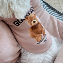 데댕 강아지 편한 캠퍼스룩 굿데이 맨투맨 강아지 가을옷 겨울옷 (XS-2XL), 핑크