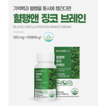 50대남자영양제 난황레시틴 혈관개선 징코영양제