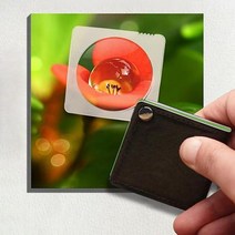 OC1093 휴대용 포켓 폴딩 효도 사각돋보기 신문읽기 _ 090401EA, 1.본품(OC1093), 본상품선택