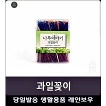 4색컬러 과일꽂이 주방과일꽂이 티포크 다용도과일꽂이 센스만점과일꽂이 일회용과일꽂이