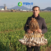 [우일농산] 국내산 의성 통마늘 30개 1kg 내외 산지직송 토종 한지형 육쪽 햇마늘, 1개