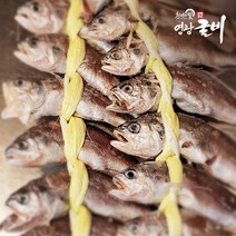 [은해푸드]영광 배터진 굴비 2호(40미.2.2~2.4kg 내외), 999개