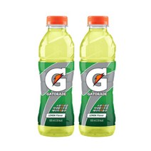 롯데칠성 게토레이 레몬, 600ml, 2개