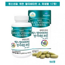 맥스 멀티 비타민 앤 미네랄 포틴 90정 청소년 어린이 수험생 필수 아미노산 종합 영양제 보충제 추천, 1개