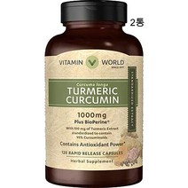 비타민월드 강황 커큐민 1000mg 120캡슐 x 2통 Turmeric Curcumin