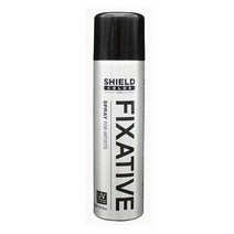 BK쉴드 픽사티브 150ml 스프레이, 상품선택