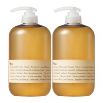 빅그린 안티헤어로스 지성용 탈모샴푸 카렌듈라 1000ml+1000ml, 단품없음