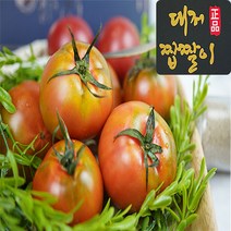 [최상등급] 대저농협인증 부산 대저 짭짤이 토마토 진품 2.5kg 5kg, 1박스, 로얄 짭짤이 토마토2.5kg 2S (7번~8번)